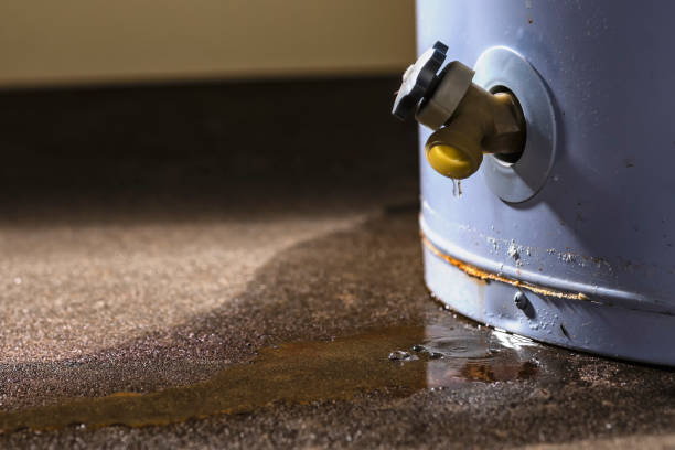 Best Carpet water damage restoration  in Plymouth, NC