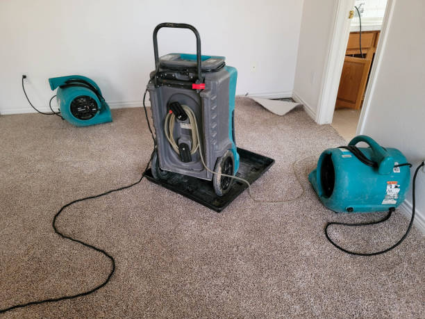 Water damage restoration experts in NC