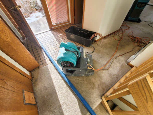 Best Commercial water damage restoration  in Plymouth, NC