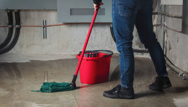 Best Flood damage cleanup  in Plymouth, NC