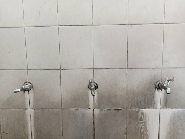  Plymouth, NC Water damage restoration Pros