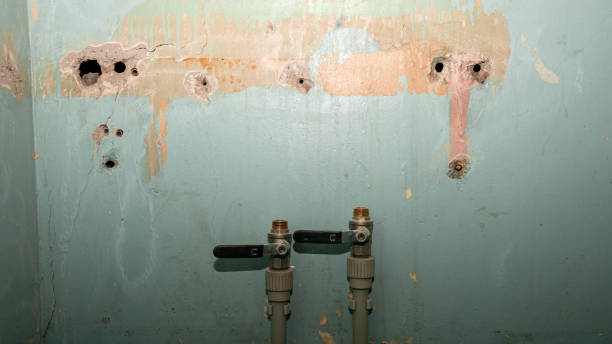 Best Water damage restoration services  in Plymouth, NC