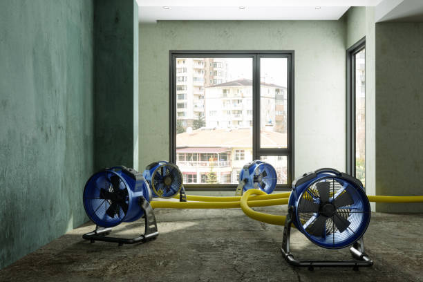 Best Water damage restoration near me  in Plymouth, NC