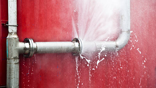 Best 24-hour water damage restoration  in Plymouth, NC